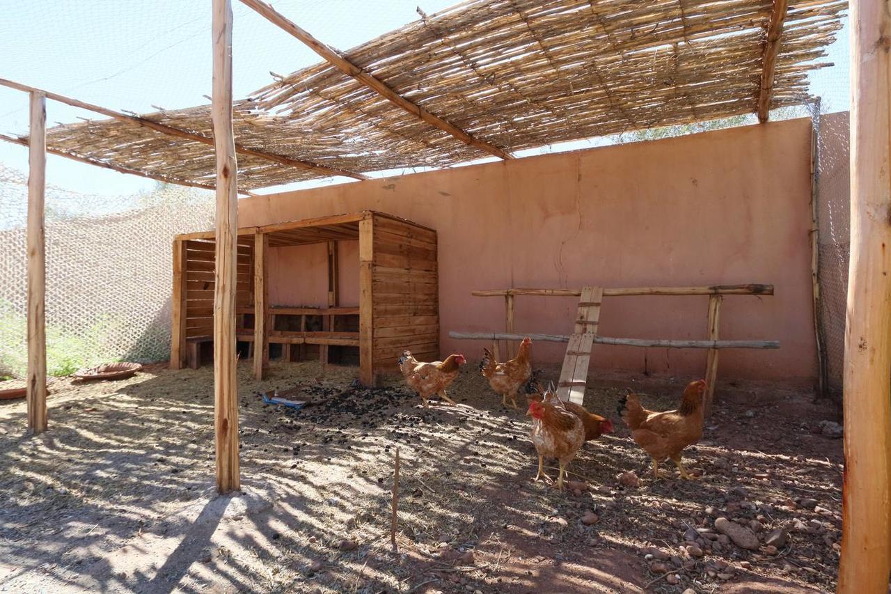 Villa Kristy Marrakesh Esterno foto